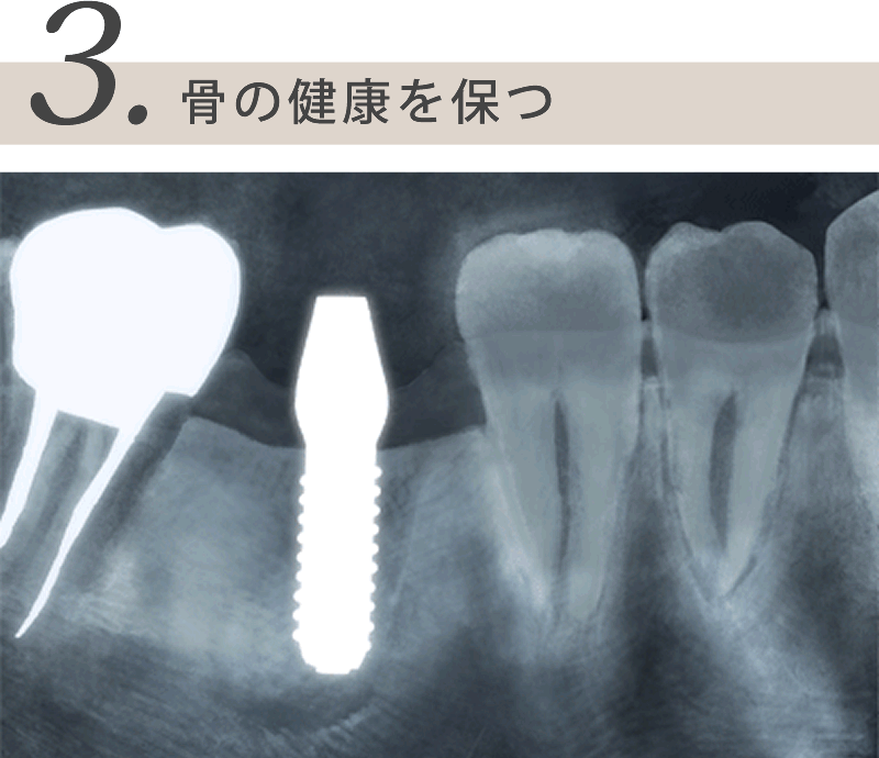 骨の健康を保つ